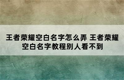 王者荣耀空白名字怎么弄 王者荣耀空白名字教程别人看不到